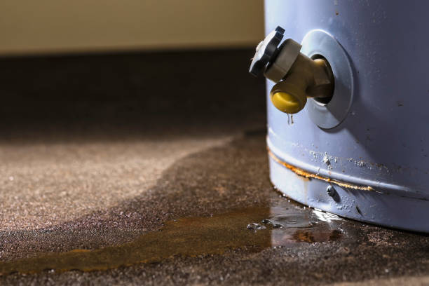 Best Carpet water damage restoration  in Union City, IN