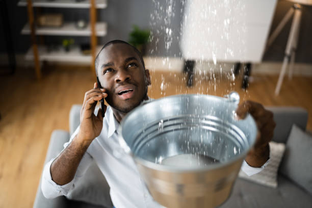 Best 24/7 water damage repair  in Union City, IN