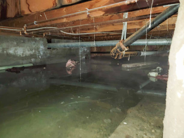  Union City, IN Water damage restoration Pros