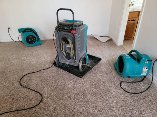 Best Water damage restoration near me  in Union City, IN