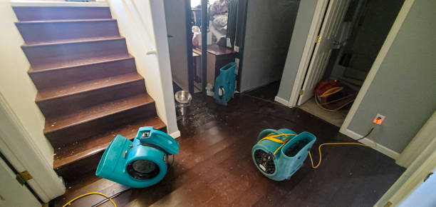 Best Flooded house restoration  in Union City, IN