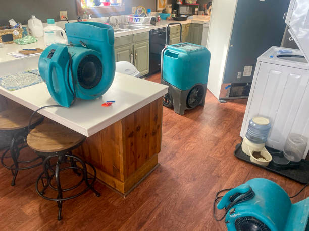 Best Basement water damage restoration  in Union City, IN