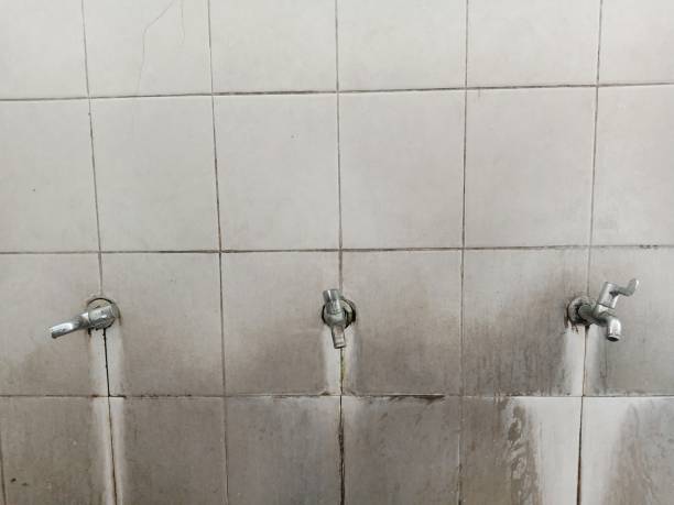 Best Water damage cleanup near me  in Union City, IN