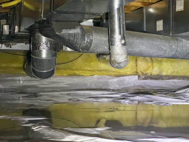 Best Water damage restoration near me  in Union City, IN