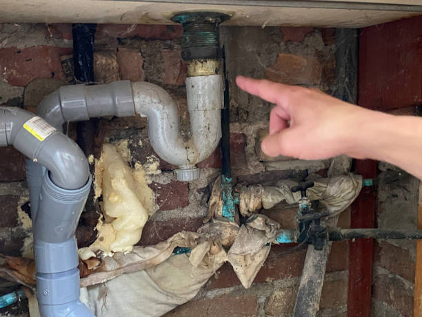 Best Water damage restoration process  in Union City, IN